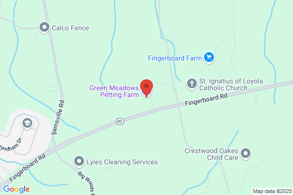 Green Meadow Farm Track & Feed