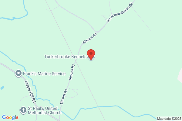 Tuckerbrooke Kennels