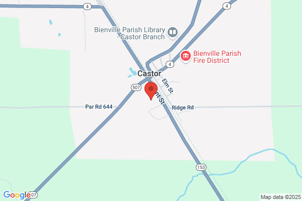 Castor High School