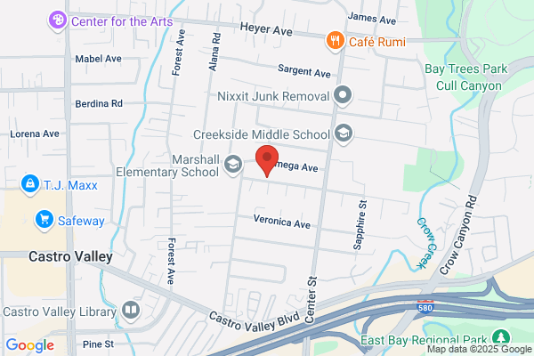N C Tree Service