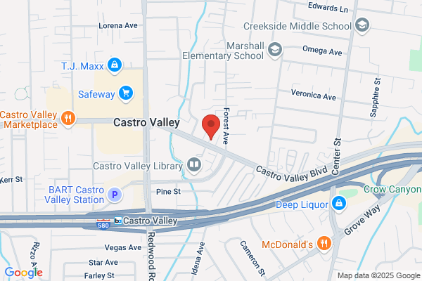 Bay Area Spay Neuter & Vaccination Clinic