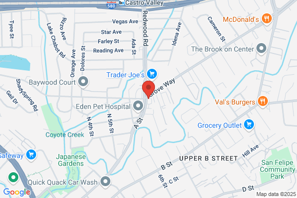 Speedee Oil Change & Tune-Up
