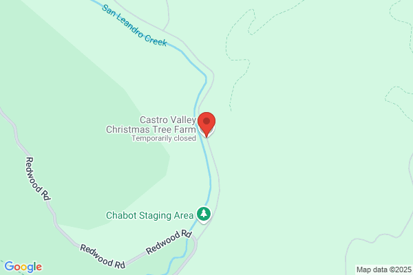 Castro Valley Christmas Tree Farm