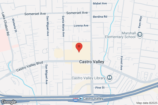 Castro Village Shopping Center