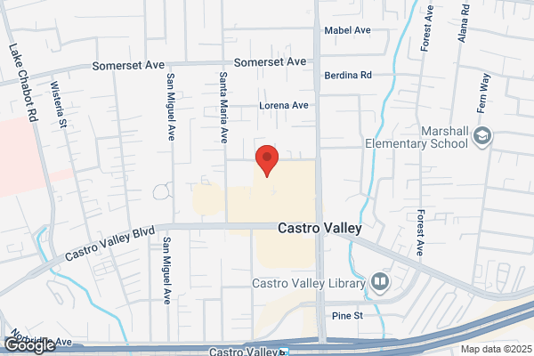 Rebecca Sayami, REALTOR - East Bay Real Estate