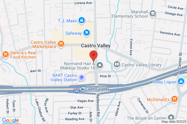 Tessa Drury- Bay Area| Real Estate Agent