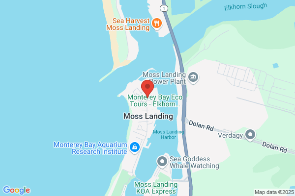 Custom Marine Covers