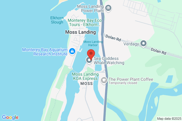Moss Landing Harbor Administrator