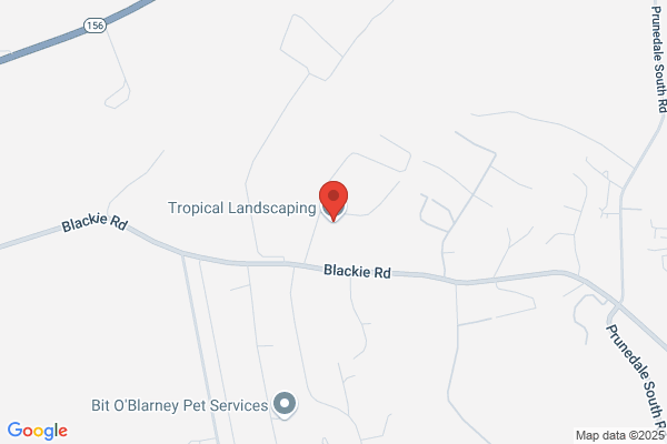 Tropical Landscaping Co