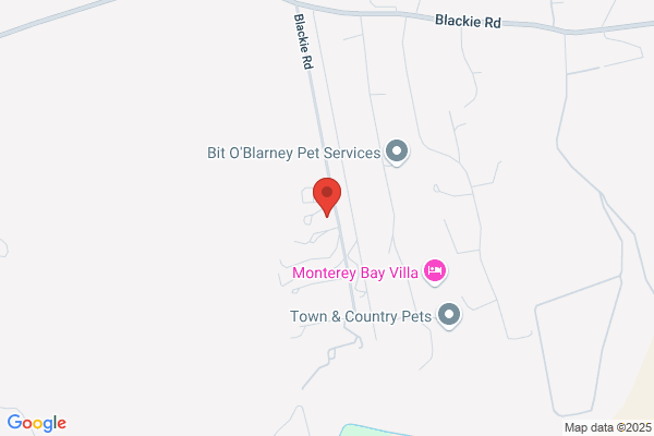 Valley Veterinary Service