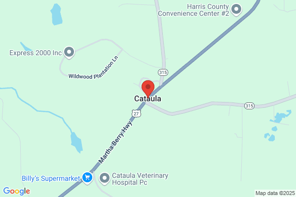 Cataula