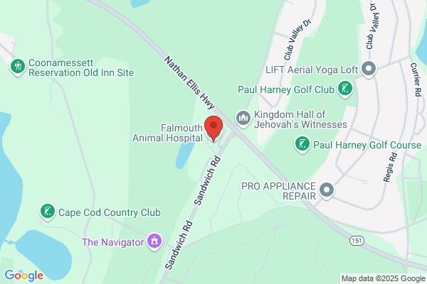 Falmouth Animal Hospital