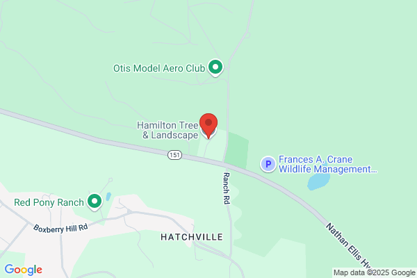 Hamilton Tree And Landscape Inc
