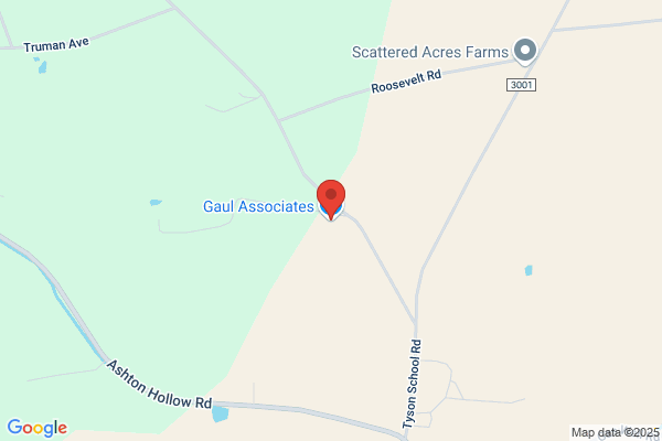 Gaul Associates