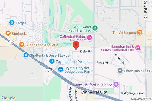 Cat City Auto Body Inc