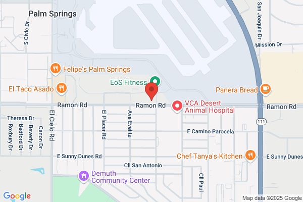 Castañeda's Mexican Food