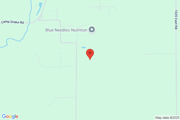 Blue Needles Golf Course