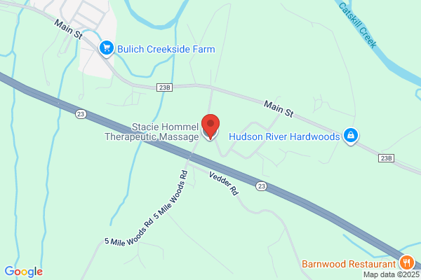 Catskill Mountain Therapeutic