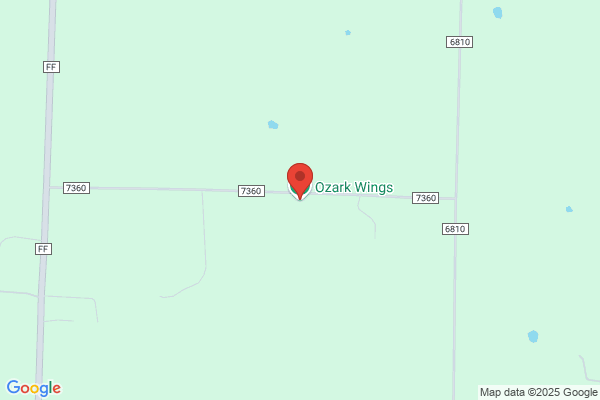 Ozark Wings