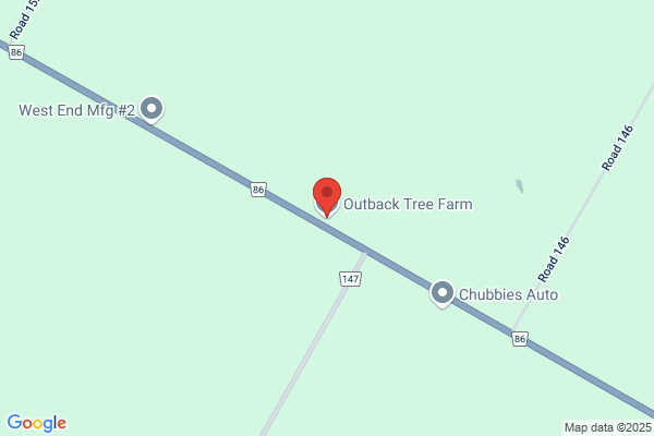 Outback Tree Farm & Movers