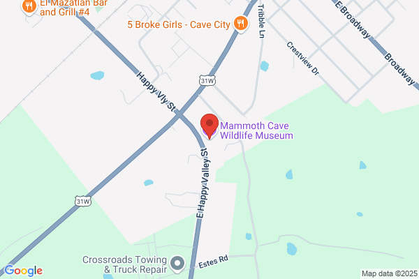 Mammoth Cave Wildlife Museum