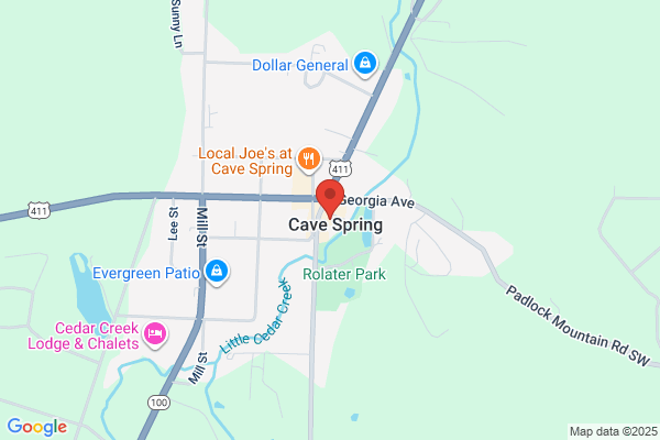 Cave Spring Public Library
