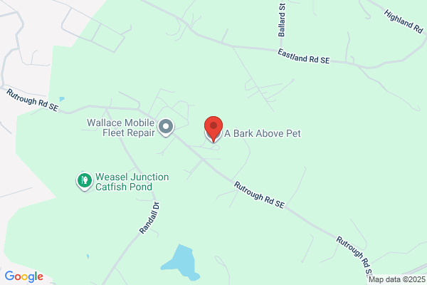 A Bark Above Pet Salon