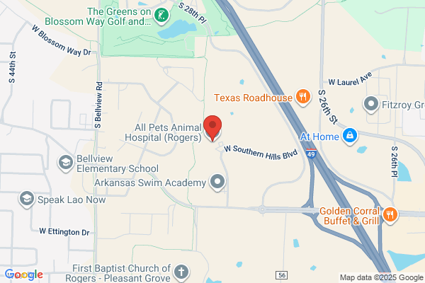 All Pets Animal Hospital (Rogers)