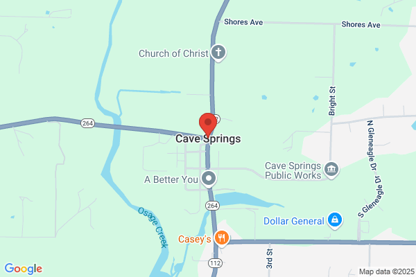 Cave Springs Storage