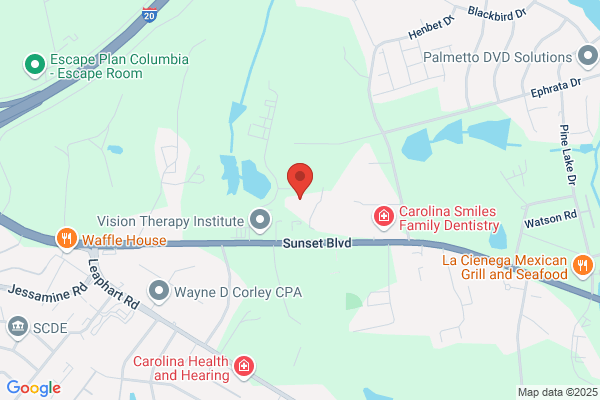 Palmetto Spine & Sports Medicine PA Llc