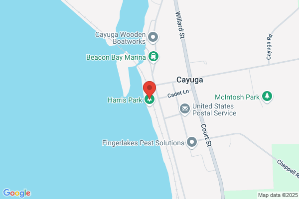 Cayuga Village of, Village Clerk