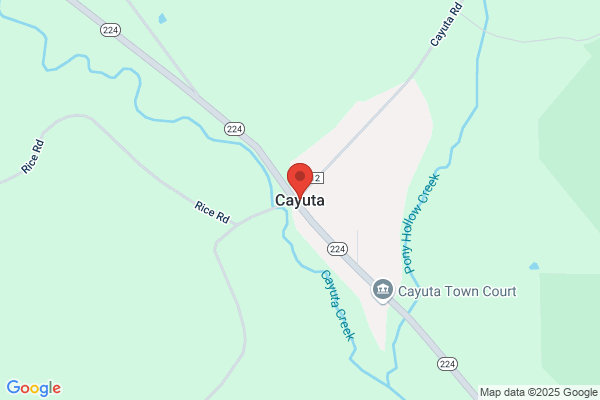 Town of Cayuta