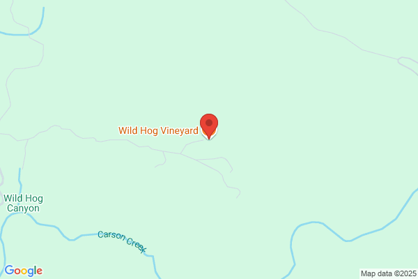 Wild Hog Vineyard