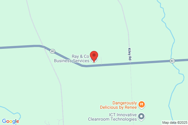 Ray & Co Business Services Inc