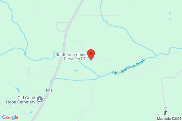Southern Equine Associates
