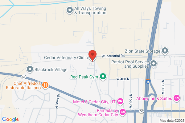 Cedar Veterinary Clinic