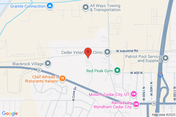 Southern Utah Sports Academy
