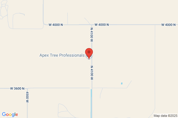 Apex Tree Professionals