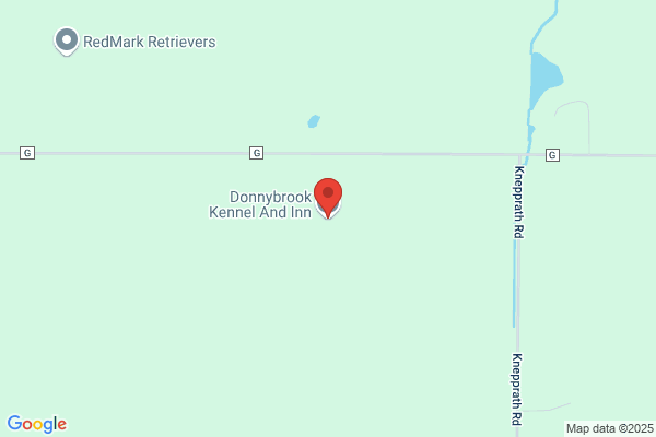 Donnybrook Kennel And Inn