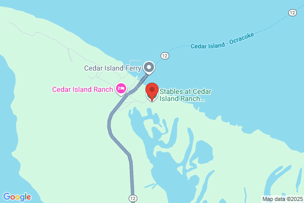 Outer Banks Cedar Island Stables