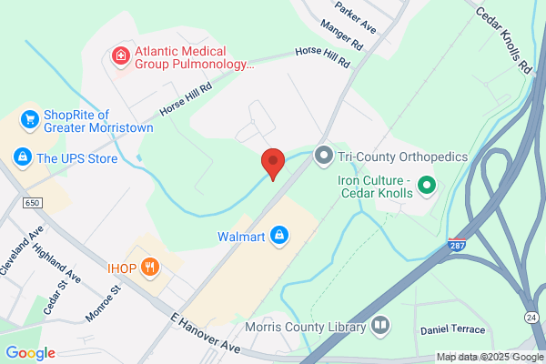 The Orthopedic Institute of New Jersey