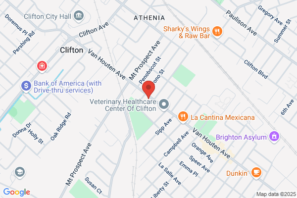 Spring Garden Chinese Take Out
