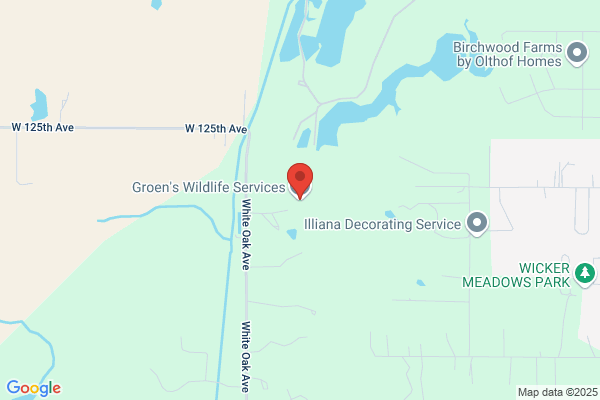 Groen's Wildlife Services