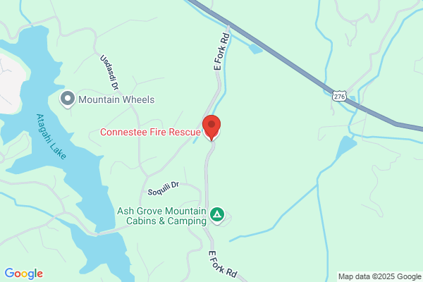 Connestee Fire Rescue Inc