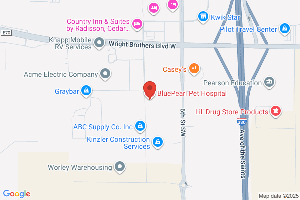 BluePearl Pet Hospital