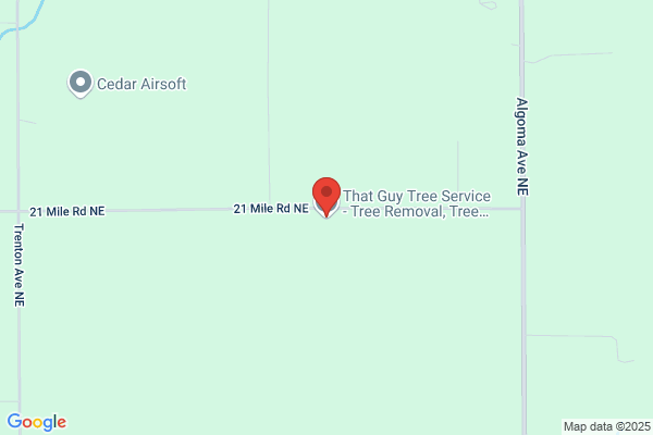 That Guy Tree Service