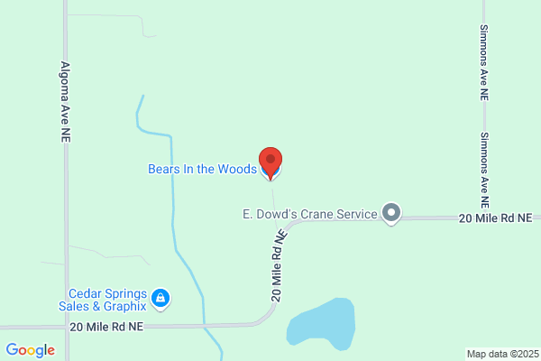 Bears In the Woods