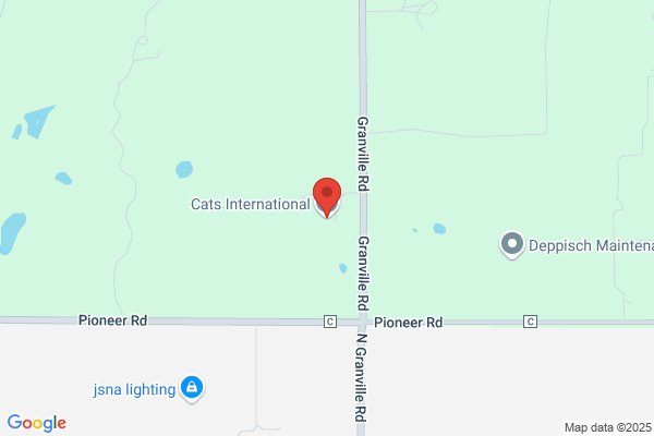 Cats International