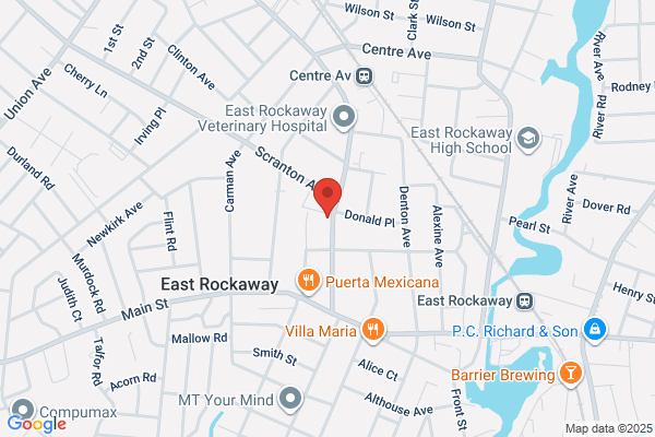 Seltzer Frederick DDS