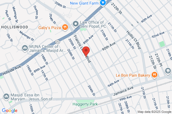 Frane Lew Laundromat Palace